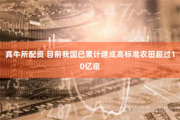 真牛所配资 目前我国已累计建成高标准农田超过10亿亩