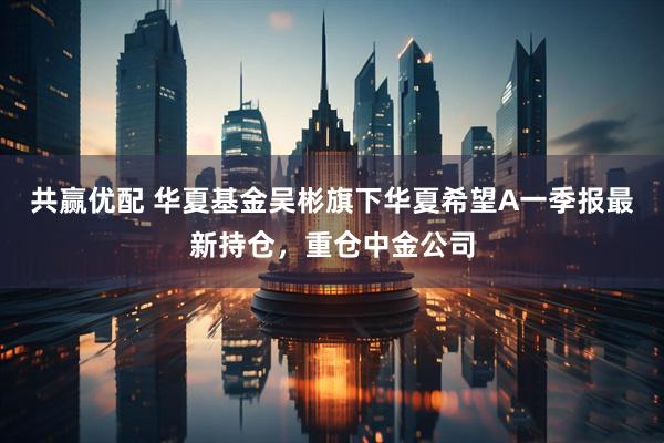 共赢优配 华夏基金吴彬旗下华夏希望A一季报最新持仓，重仓中金公司