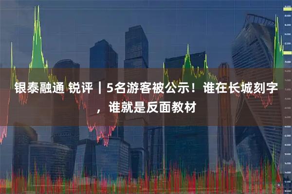 银泰融通 锐评｜5名游客被公示！谁在长城刻字，谁就是反面教材