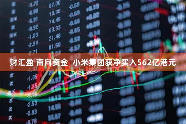 财汇盈 南向资金  小米集团获净买入562亿港元