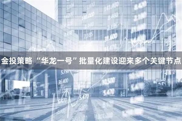金投策略 “华龙一号”批量化建设迎来多个关键节点
